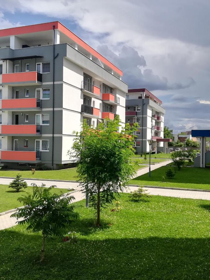Appartement Voyage Cubic Adults Only à Sibiu Extérieur photo